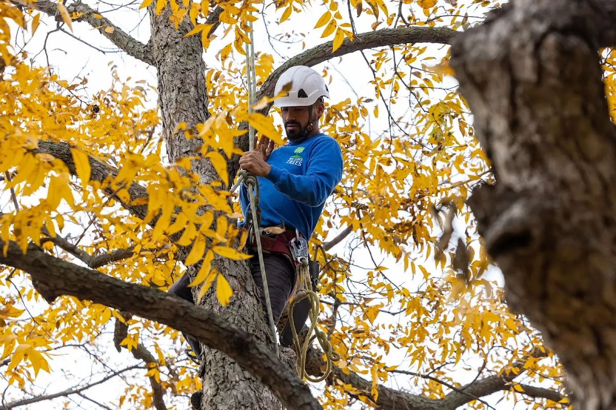 Skilled Storm Damage Cleanup crew working in Athol